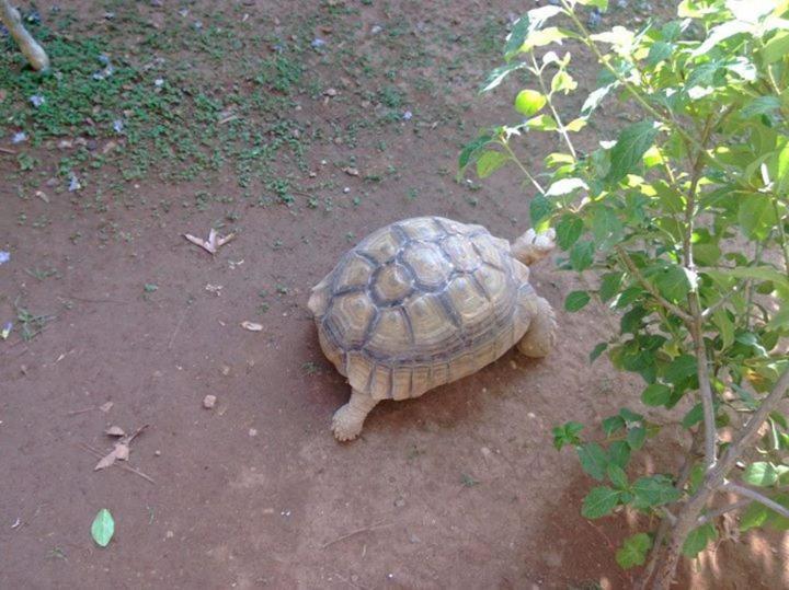 サン ライズ ホテル アンタルヤ エクステリア 写真